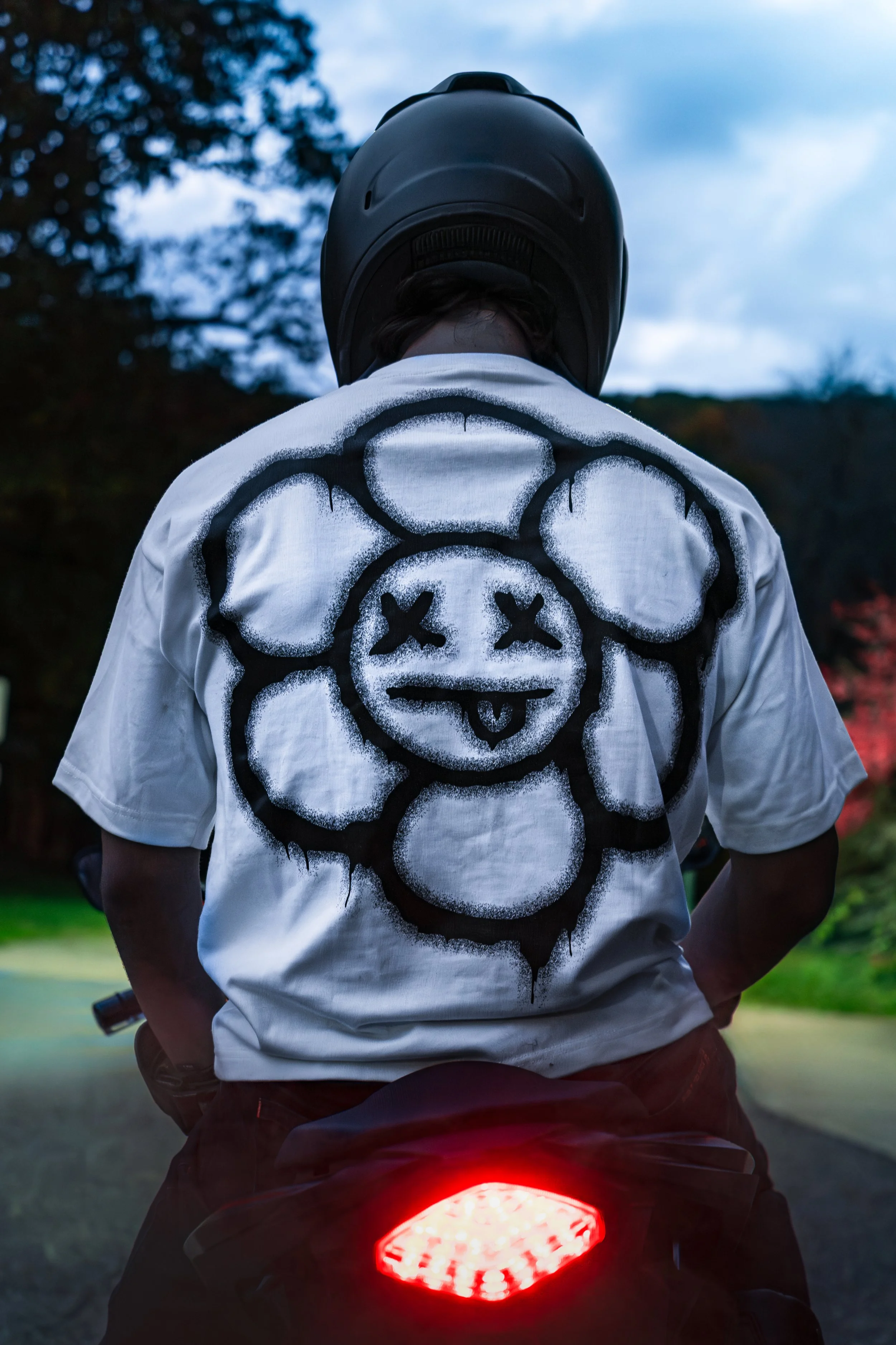 DaizzyCo project photo