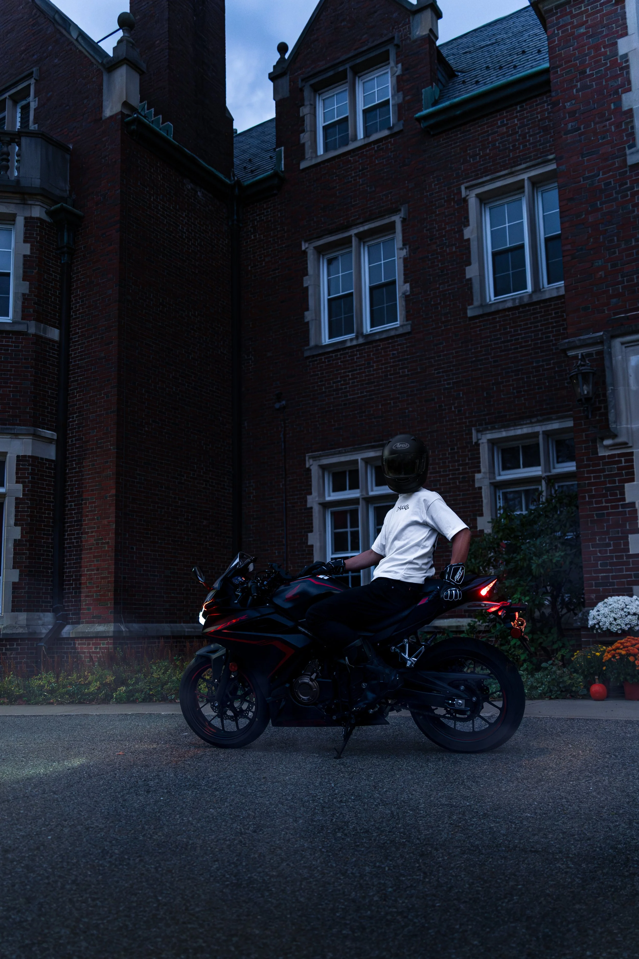DaizzyCo project photo
