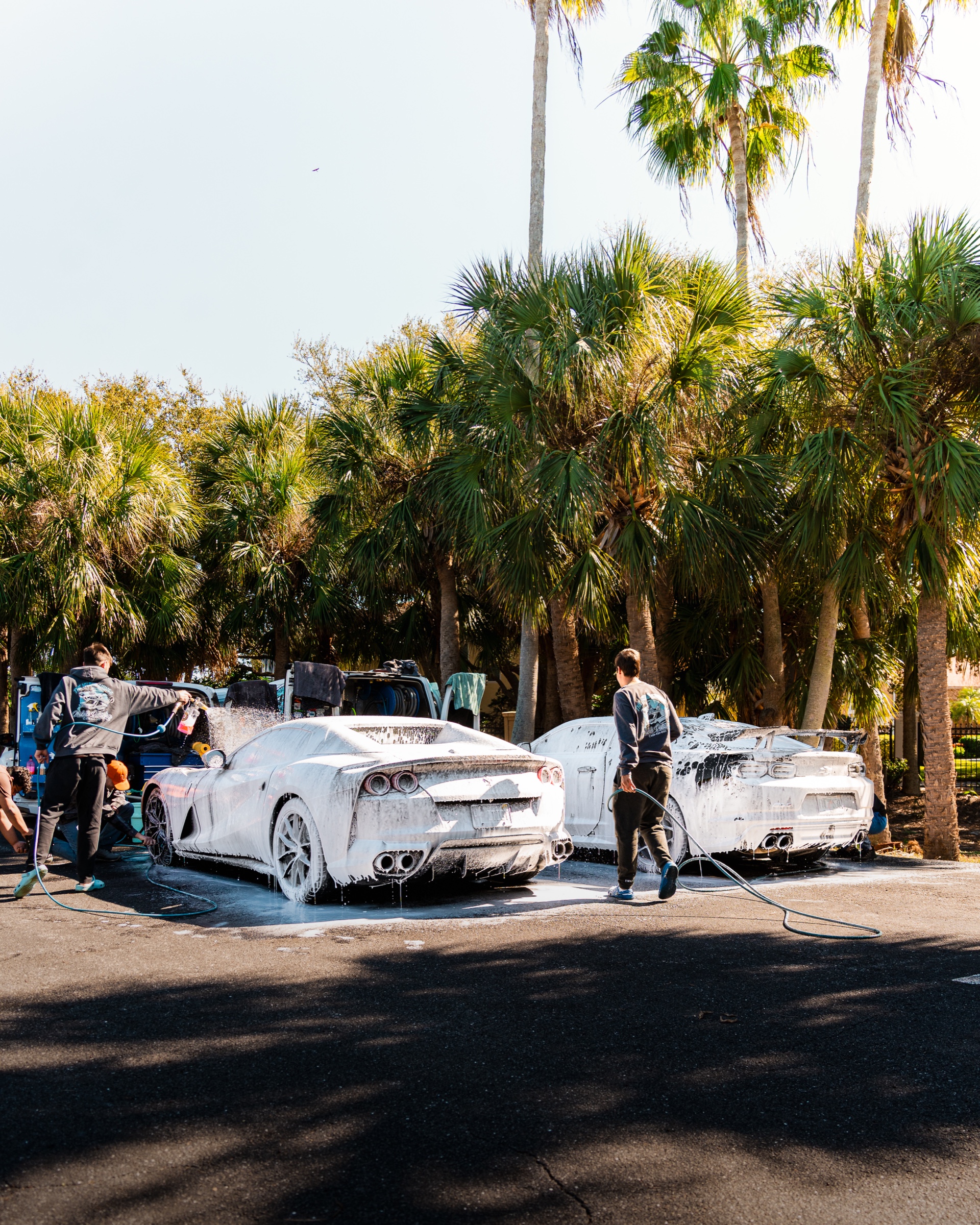 Tampa Winter '26 photo
