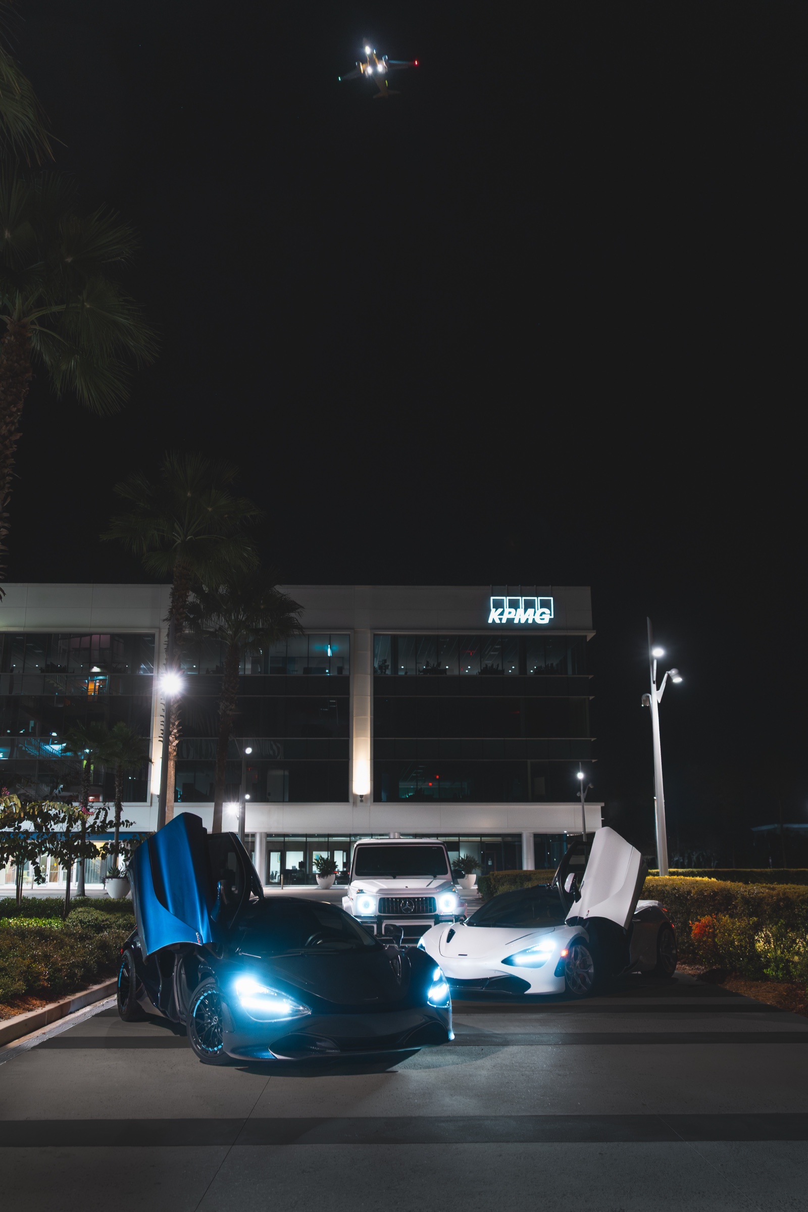 Tampa Winter '26 photo